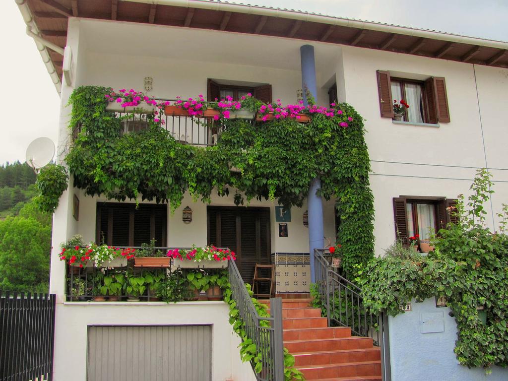 Pension El Peregrino De Larrasoana Buitenkant foto
